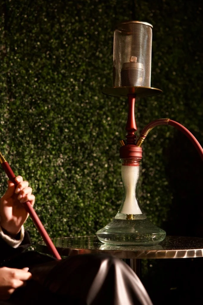 Burgundy hookah against the living wall
