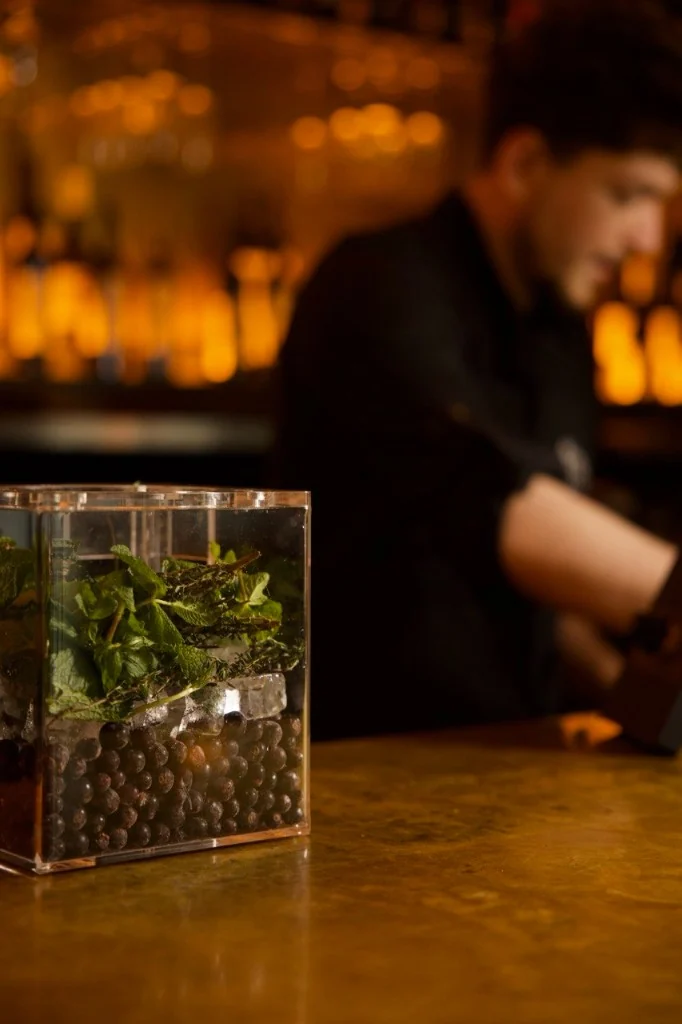 Mint, berries and shisha at the bar